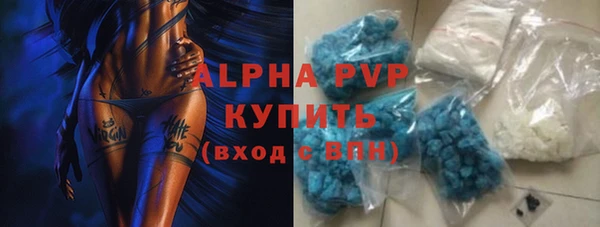 МДПВ Вяземский