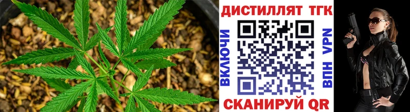 как найти закладки  Злынка  Дистиллят ТГК концентрат 