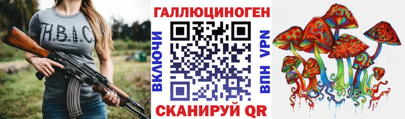 Псилоцибиновые грибы мицелий  mega маркетплейс  Злынка  цена наркотик 